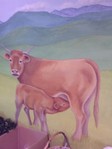 Fleur d&#039;Aubrac