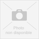 Pt Cvnol aux chataignes Mdaille d&#039;Or au Gard Gourmand 